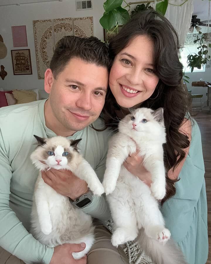 Cat adoption near me – Kitten rescue center